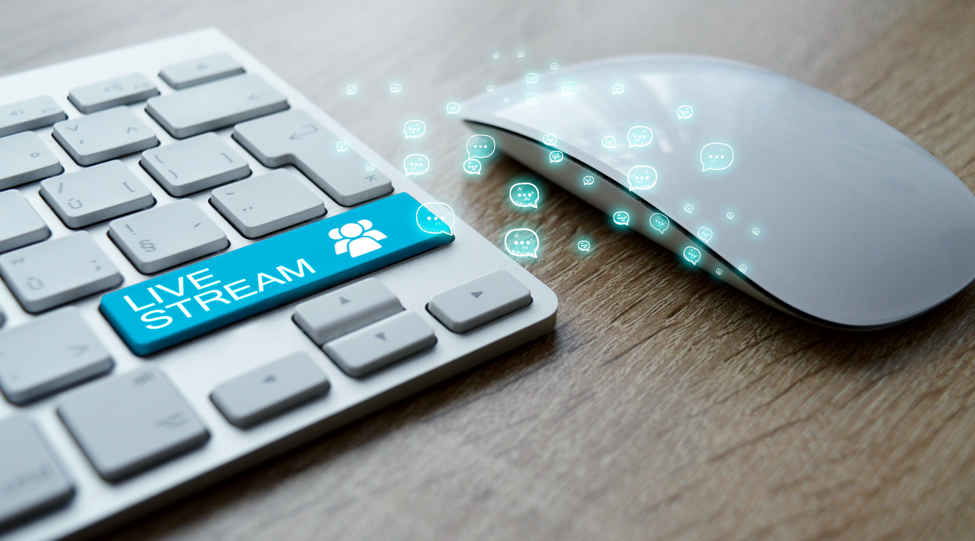 ȫ(gu)W(wng)j(lu)cýw(zhun)I(y)W(xu)