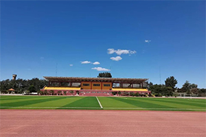 北京市豐臺區新北賦學校哪個區