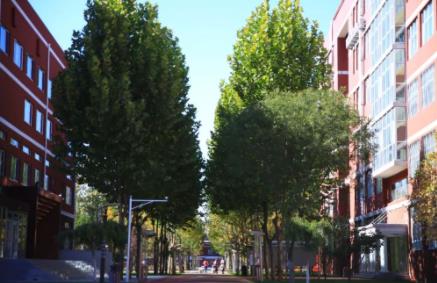 新東方國際雙語學校