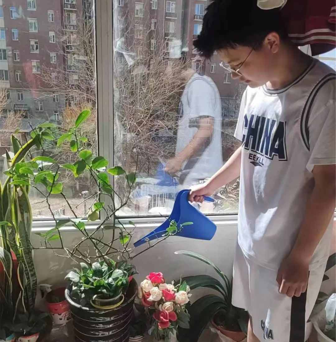 北京市豐臺區新北賦學校種植綠植