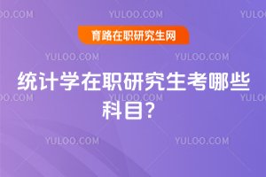 統(tǒng)計學(xué)在職研究生考哪些科目?