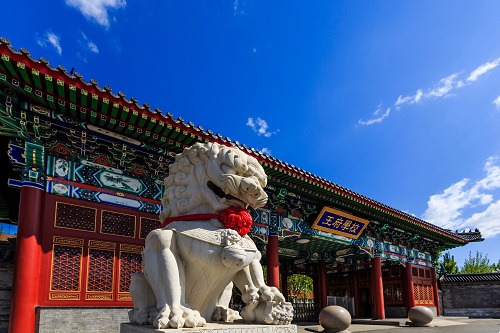 北京王府學校校園開放日