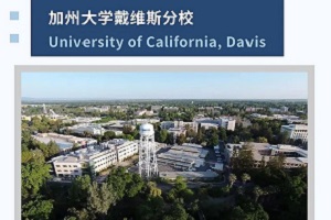 ȡ݈ | 2023ZSWԺWՈȡ£+1