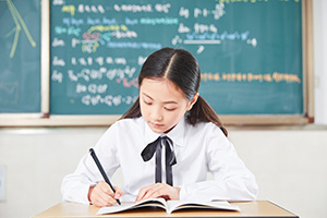 了解學(xué)校辦學(xué)資質(zhì)，北京市實(shí)驗(yàn)外國(guó)語(yǔ)學(xué)校是私立還是公立學(xué)校？