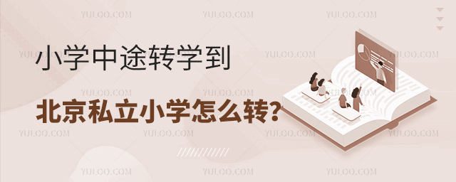 СW;D(zhun)W˽СWôD(zhun)