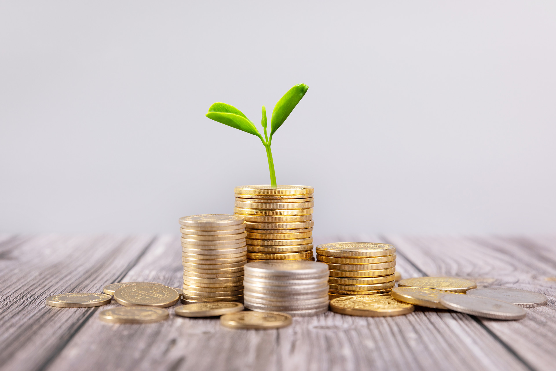 會計專業屬于文科還是理科?