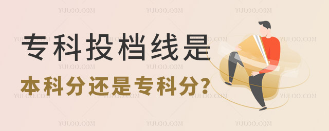 專科投檔線是本科分還是專科分?