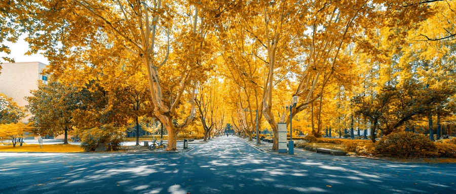 ѩ彨hŮĿƌxČIЩ