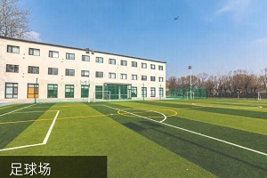 ʿDlǌWУ-ZSWԺWʸ߆?