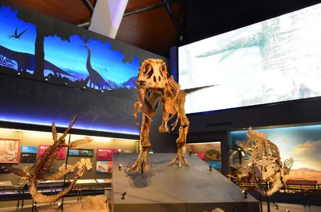 ЇHn̼ɏУ^Ŀʽ̌W-Һ^5