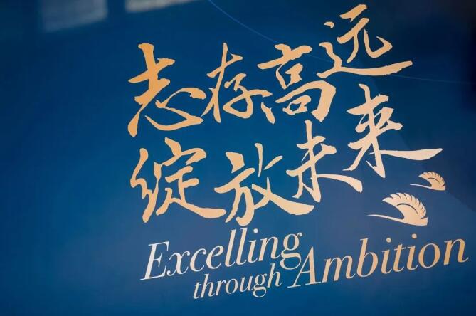 北京市朝陽區(qū)凱文學(xué)校獲獎2