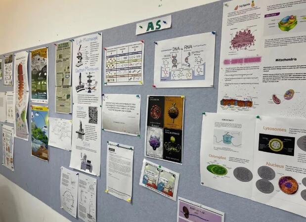 青苗學(xué)校懷柔校區(qū)初中優(yōu)勢(shì)