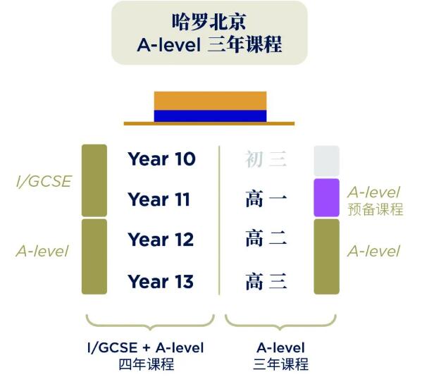 哈羅北京新增項目