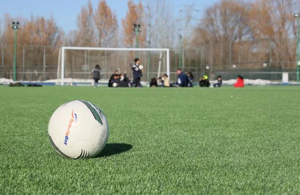 哈羅北京雄獅體育學院課程