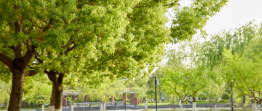 2024߿ɿ200бҪϴW᣿