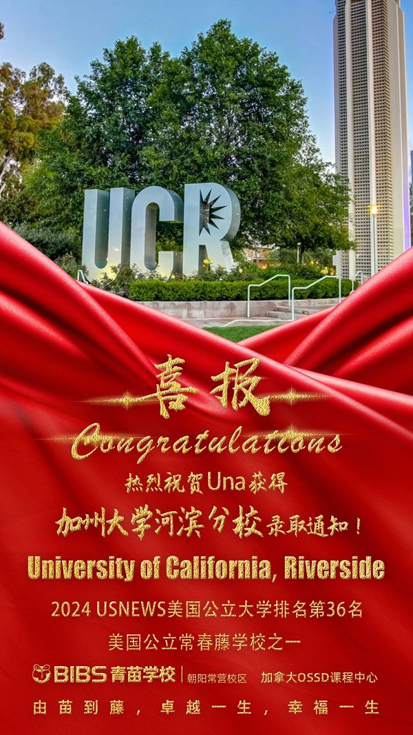 青苗學(xué)校常營校區(qū)2024年錄取喜報(bào)