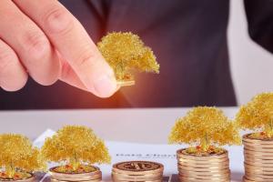 W(wng)j(lu)I(yng)NI(y)nҪЩ