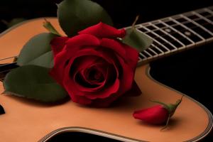 音樂教育專業(yè)可以考什么證?