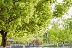 2025廣東高考成績200分有必要上大學嗎?