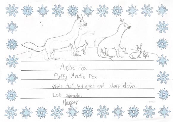 北京市順義區(qū)諾德安達學(xué)校英文寫作