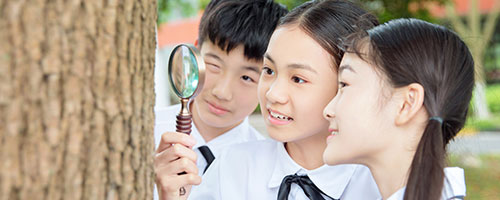 高三復(fù)讀能在原來(lái)學(xué)校讀嗎