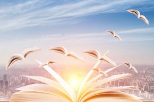 2025年廣東高考300分能上幾本?