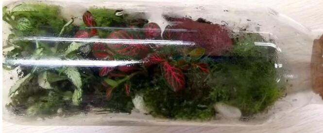 愛(ài)迪優(yōu)秀學(xué)生專(zhuān)訪(fǎng) |白子翰