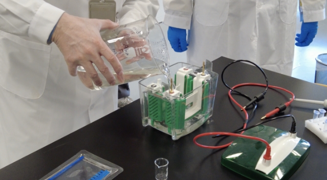 гꖅ^(q)PČWƄ(chung)Ŀ