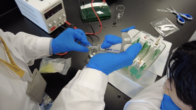 гꖅ^(q)PČWУƄ(chung)Ŀ