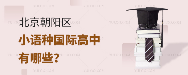 北京朝陽區小語種國際高中有哪些