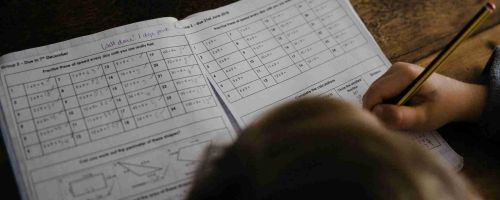 青苗學(xué)校普高部課程是怎么設(shè)置的