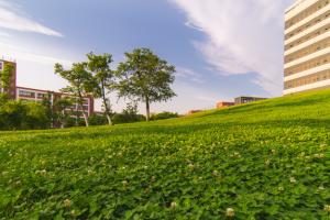 2024ӋC(j)ƌW(xu)cg(sh)I(y)^õĴW(xu)Щ