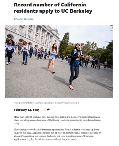 青苗優(yōu)秀畢業(yè)生:張一帆