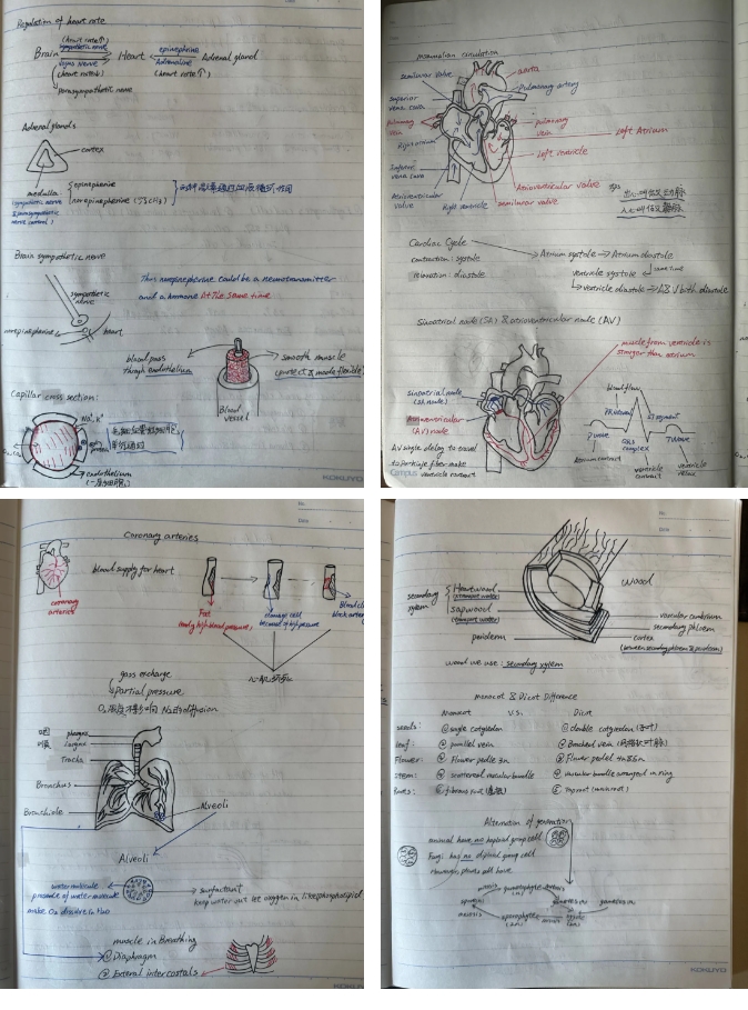 法拉古特學校天津校區畢業生故事 | Rain
