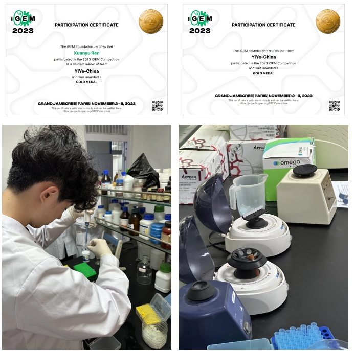 法拉古特學校天津校區畢業生故事 | Rain