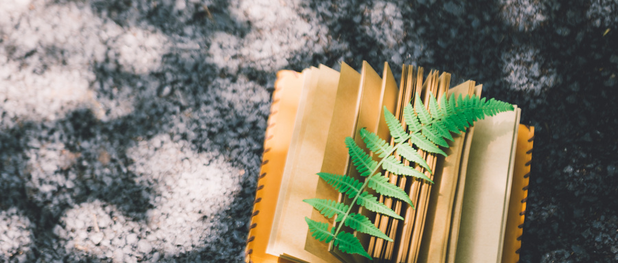 網絡空間安全專業新高考選科要求:高中生必選物理和化學