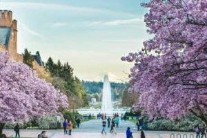 北京市朝陽區博雅學校可以自主招生嗎？了解學校招生方式！