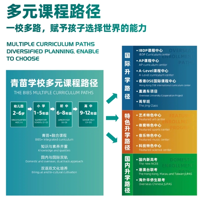 青苗教育集團管理團隊