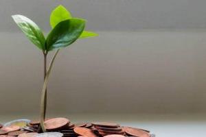 北京市海淀區崛起實驗學校小學部口碑如何?有哪些辦學優勢?