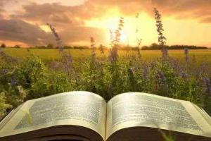 河北益田翰德學(xué)校小升初學(xué)費(fèi)標(biāo)準(zhǔn)一覽!附初中部介紹