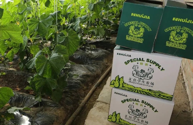 北京市私立匯佳學校農場