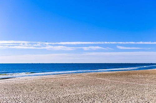 清華志清中學國際部藝術(shù)節(jié)