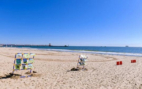 清華志清中學國際部藝術(shù)節(jié)