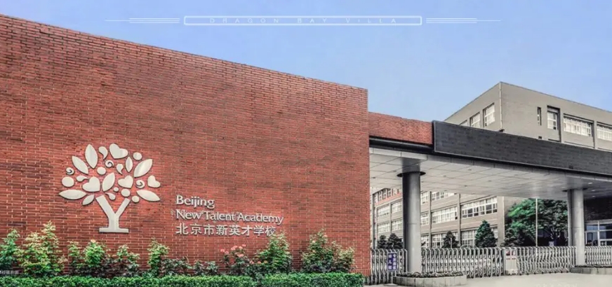 北京新英才