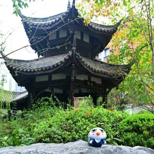 成都七中國際部新生校園生活