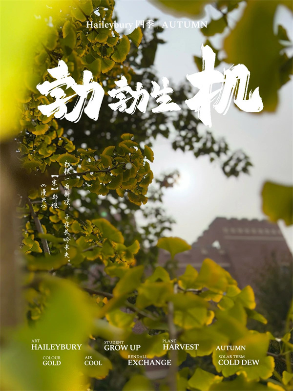 黑利伯瑞校園秋日美景美圖