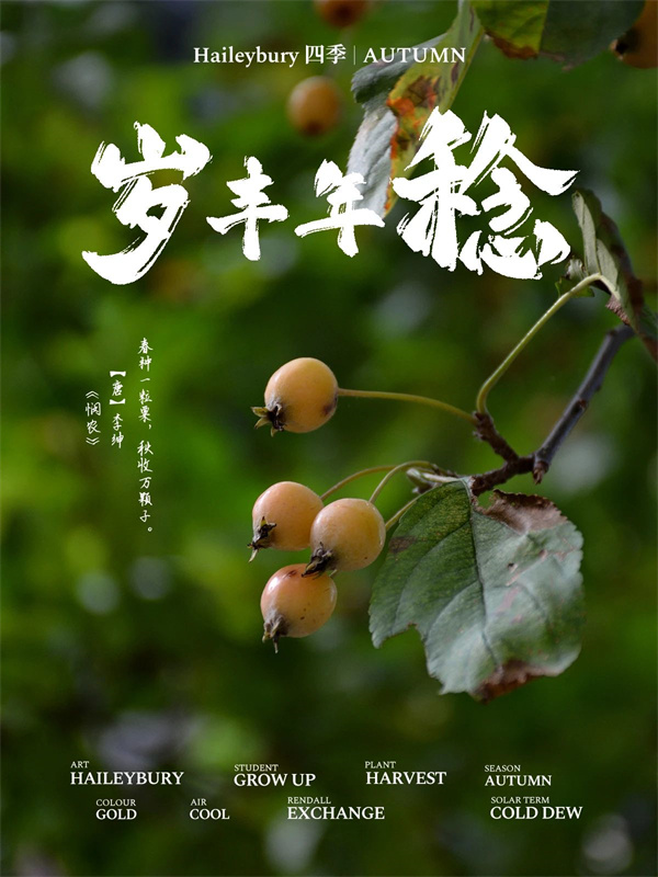 黑利伯瑞校園秋日美景美圖