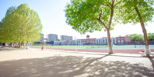 北京中加學校通州華仁學校