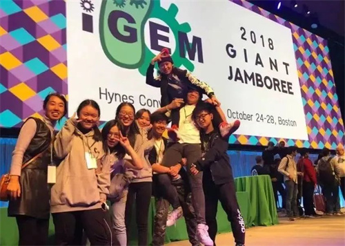 2025年北京外國語大學國際課程中心招生簡章