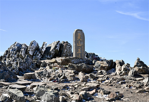 愛丁堡公爵國際獎